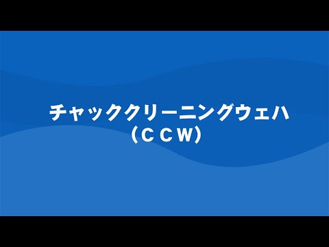 ギャラリービューアでビデオをロードして再生する, チャッククリーニングウェハ(CCW) 6インチ Chuck Cleaning Wafer 6 inch